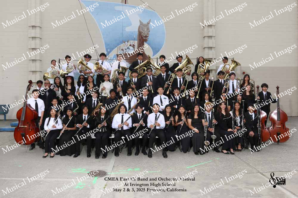 Musical Images